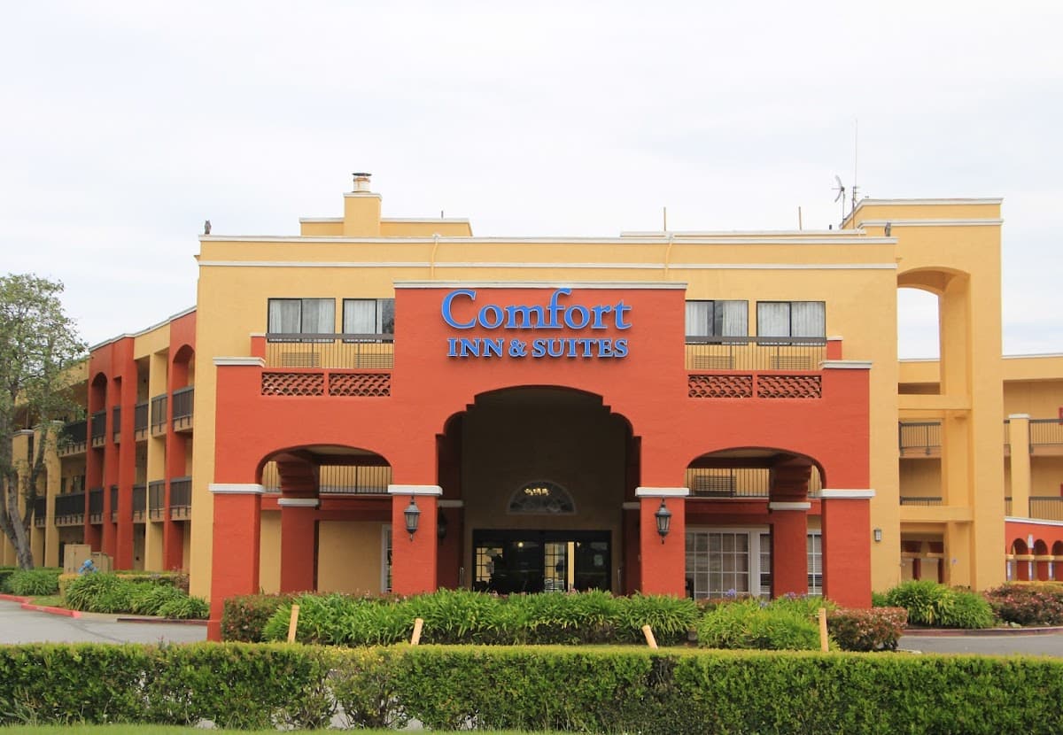 Comfort Inn & Suites - Airport shuttle hotel near SFO