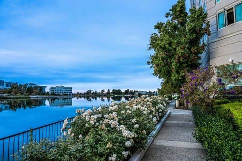 Grand Bay Hotel San Francisco - Airport shuttle hotel near SFO