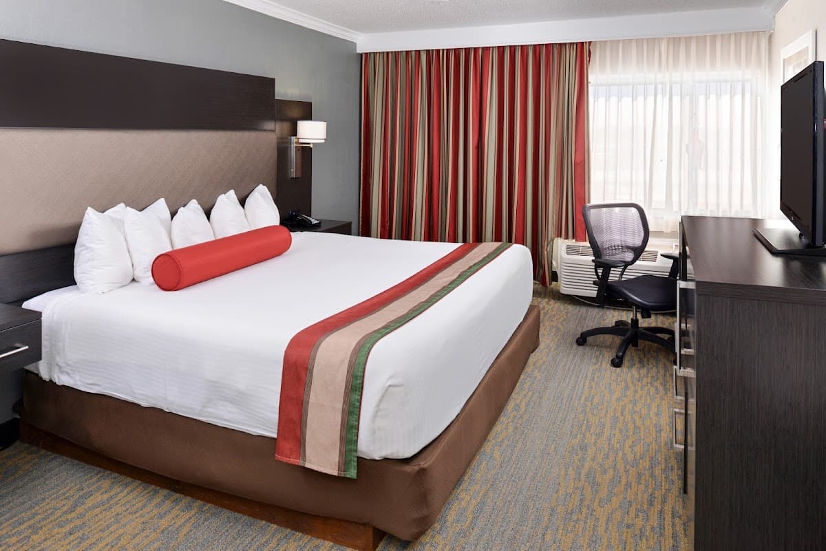 Best Western at O'Hare - Airport shuttle hotel near ORD